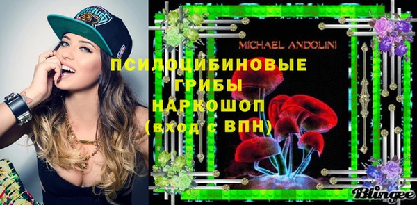 твердый Вяземский