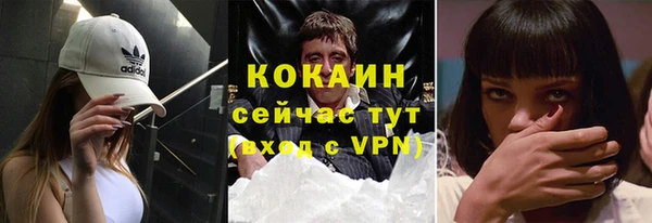 стафф Вязьма