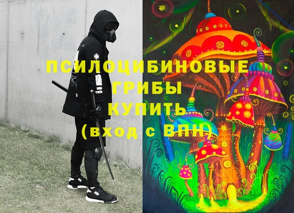 дурь Горняк