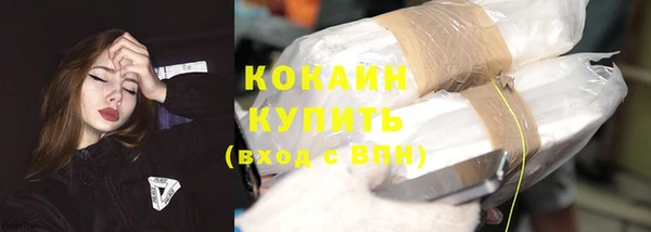 стафф Вязьма