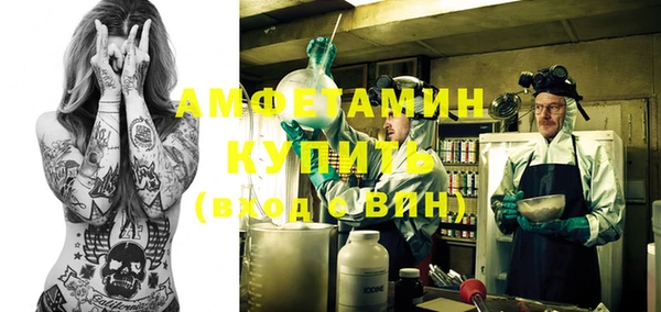 твердый Вяземский