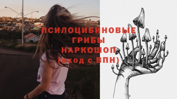 дурь Горняк