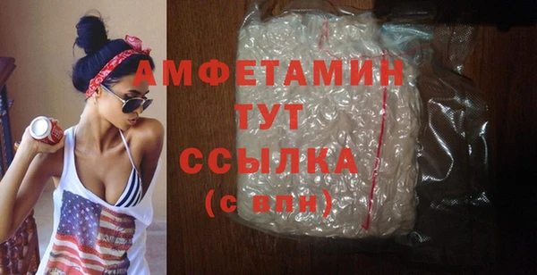 твердый Вяземский