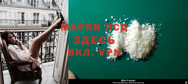 стафф Вязьма
