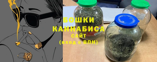 твердый Вяземский