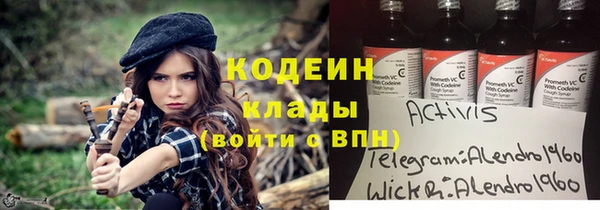 мдпв Горнозаводск