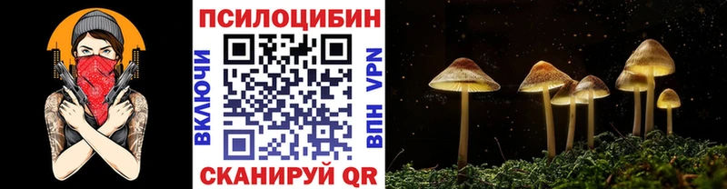Купить закладки  Куса  Галлюциногенные грибы прущие грибы 